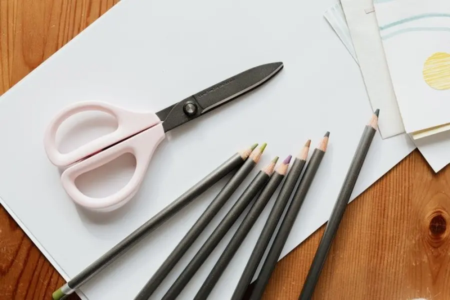 Scuola, si pensa al nuovo anno: dai trasporti alle date