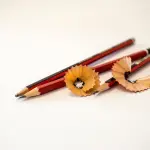 Scuole chiuse in Lombardia: stop fino al 14 marzo