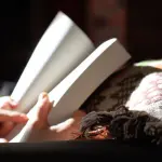 I concorsi per la scuola si possono concludere entro il 31 dicembre 2021