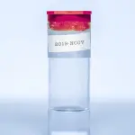 Riapertura della scuola, Renzi scrive a Conte: 'Servono tamponi e vaccini'