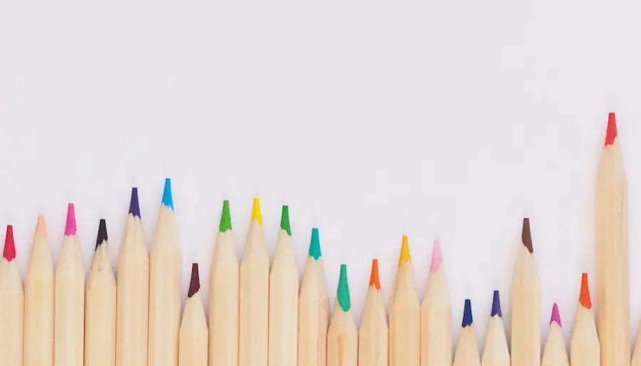 Rapporto Istat sulle competenze degli alunni: molte insufficienti capacità alfabetiche