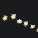 Film per Halloween: alcune proposte da non perdere