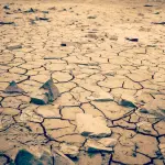 Che cos'è l'effetto serra: significato e conseguenze