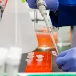 Caso sospetto di Covid 19 a Crema: la classe in quarantena