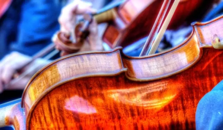 Insegnante accusato di aver rubato il violino ad uno studente