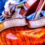 Insegnante accusato di aver rubato il violino ad uno studente