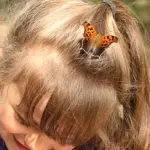 I pidocchi a scuola, che cosa fare?