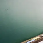 I precari della scuola: tutti assunti entro il 2018?