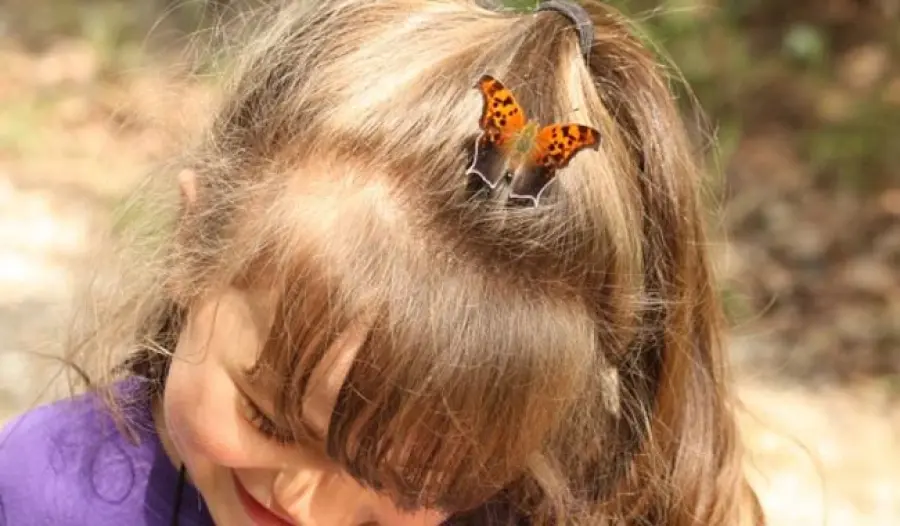 I pidocchi a scuola, che cosa fare?