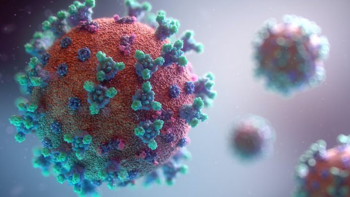 coronavirus e scuola coronavirus e scuola